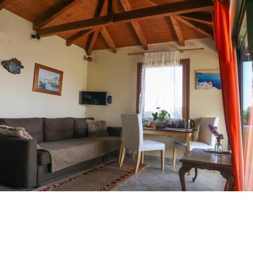 Elena's House