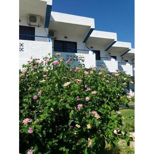 Eleni's apartments