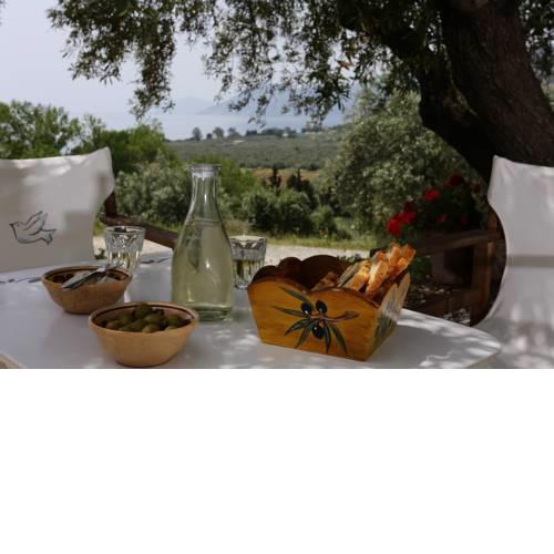 Eleonas Guesthouse