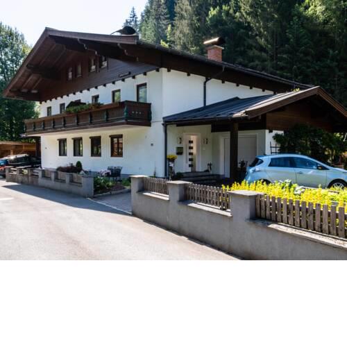 Elfriede