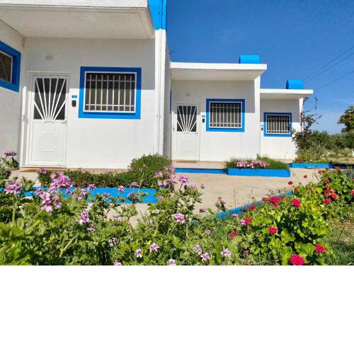 Elgreco Apartments at Tigaki near the sea 3