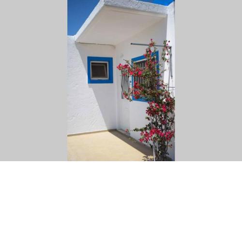 Elgreco Apartments at Tigaki near the sea 5