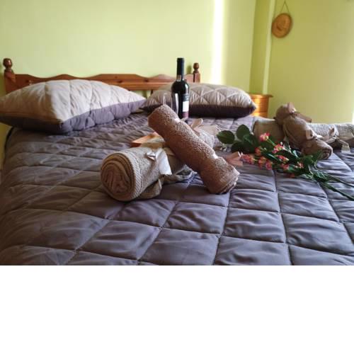 Elinas Family Home
