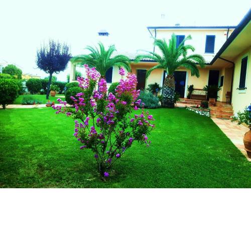 Elisa House