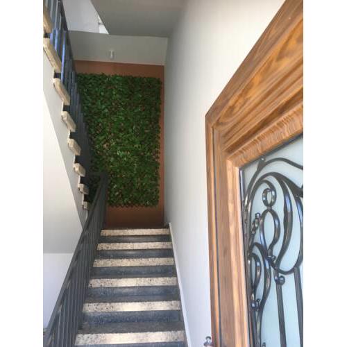 ElleNapa Apts & Studios