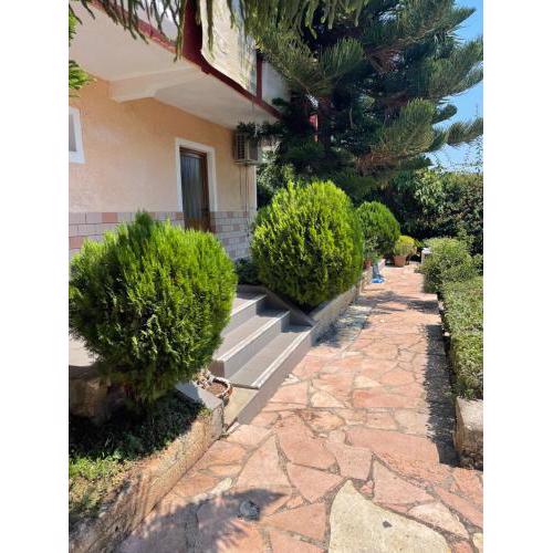 Ellias Guest House