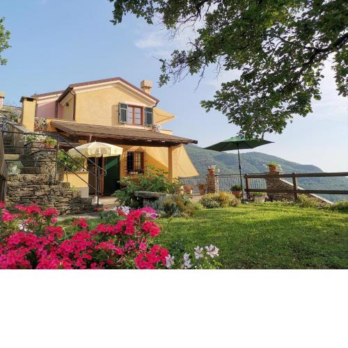 Elsa House