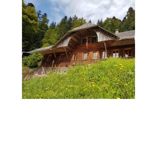 Emmentaler Schlafkäse unter freiem Sternenhimmel