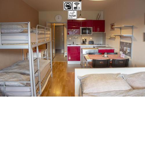 ENJOYHARRACHOV - Atraktivní slunné studio Čertovka v centru Harrachova s garážovým parkováním, Wifi-WLAN, SAT, herní konzolí, Netflix zdarma a nejkrásnějším výhledem na Čertovu horu s areálem skokanských můstků a sjezdovku