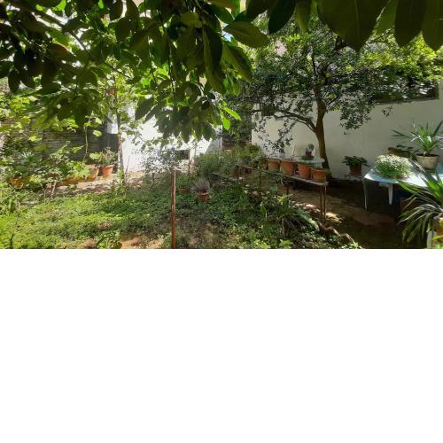 Enki's garden guesthouse