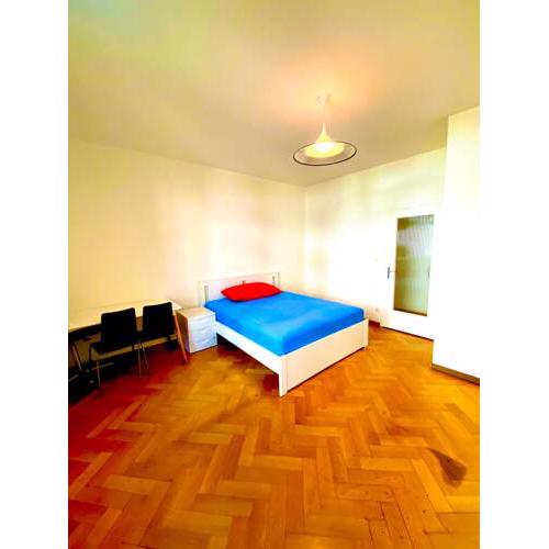 Entire Apartment in Center of Basel