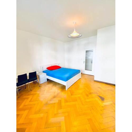 Entire Apartment