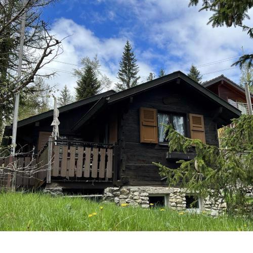 Entire cozy chalet in St-Cergue - 30 min from Geneva