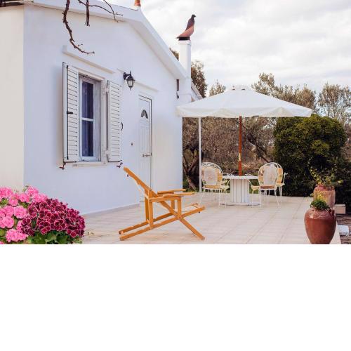 Entire house with garden, 70m from the beach.