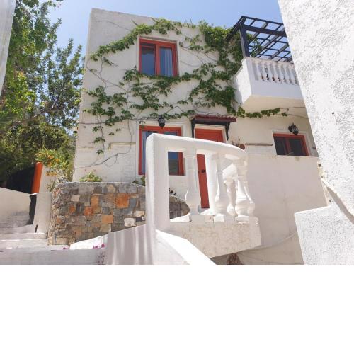 Entire Villa two floors Sea View
