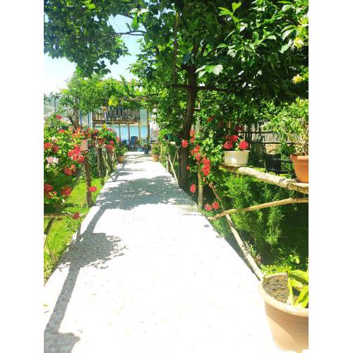 ERDA LAKESIDE Guesthouse