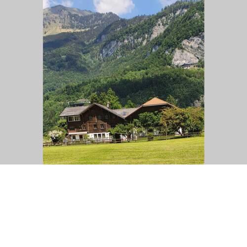 Erika's Lodge