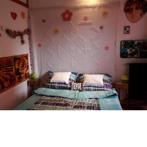 Esőerdő Apartman