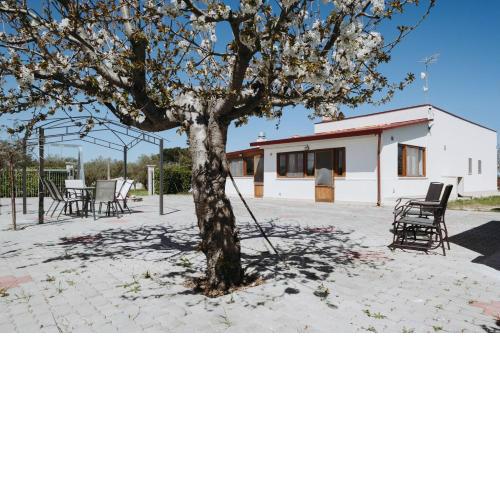 Essenza Country House