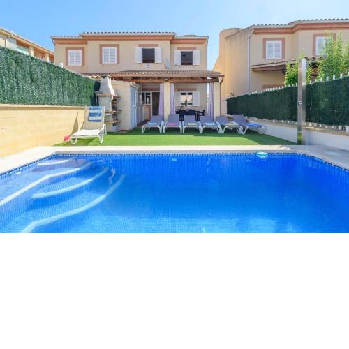 Estrella de mar verde
