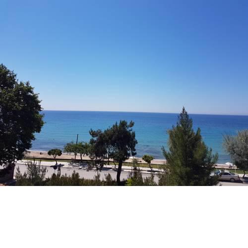 Estrella Rooms