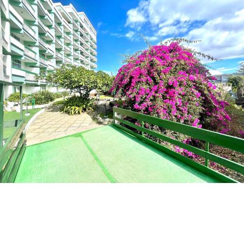 Estudio superior con grande jardín, wifi, piscinas, playa en Puerto de la Cruz