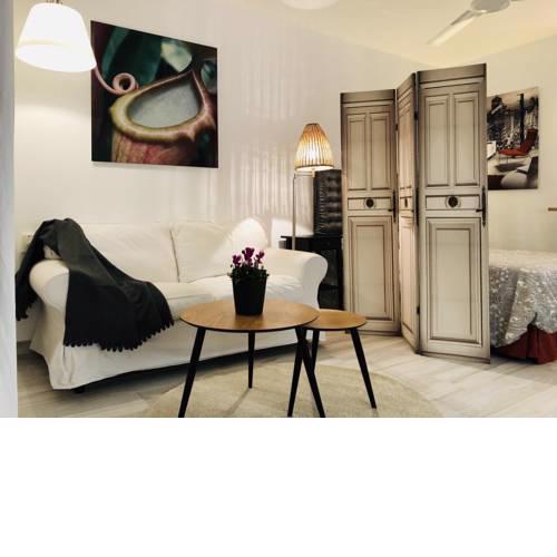 Estupendo estudio en Puerto Banus Beach