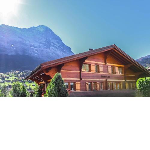 Excellent flat with a fantastic view of the Eiger!