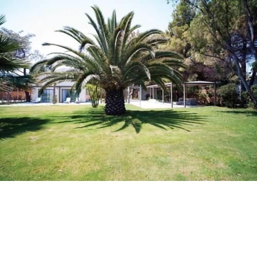 Exclusive Halkidiki Villa Palm Garden Villa Ocean Front 3 BDR Vourvourou