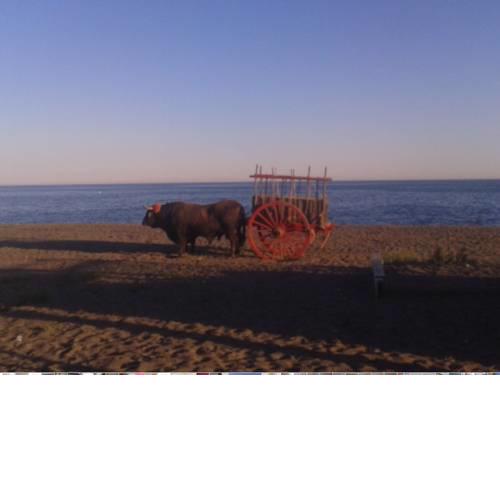 exclusivo Atico en primera línea de playa