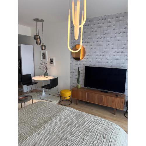 Executive Studio Pristavna