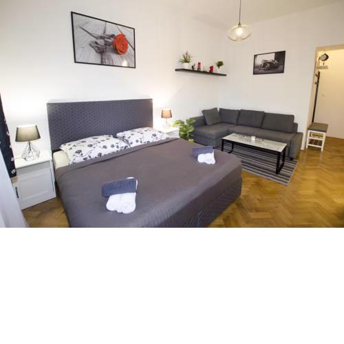 Exlusive Apartment Paris style
