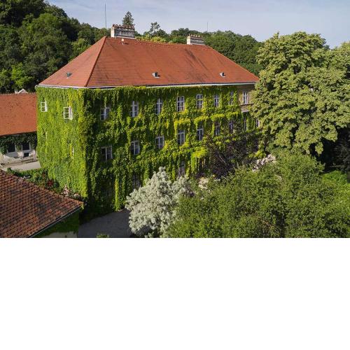 Experience the Hollenburg Castle