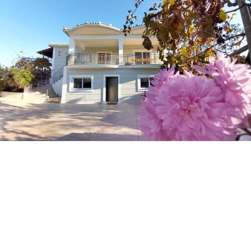 Eygenias pool house