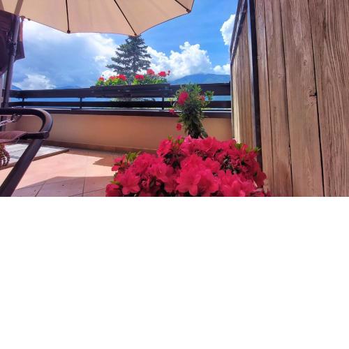Family - Pet - Bike friendly Home with Terrace