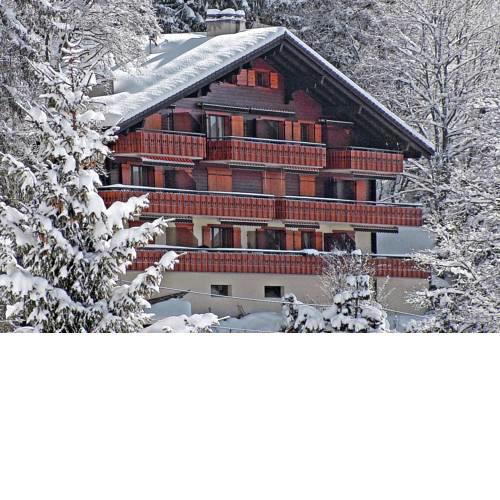 Family-friendly apartment in Villars
