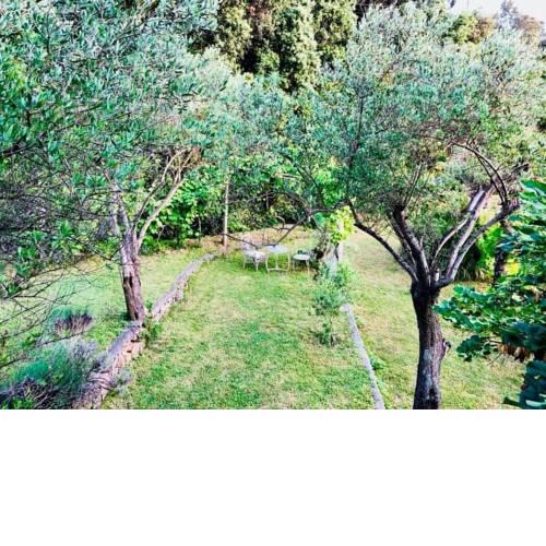 Family friendly apartments with a swimming pool Supetarska Draga - Gonar (Rab) - 17860