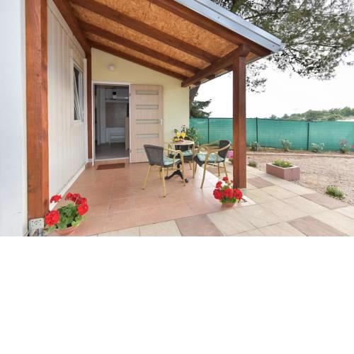 Family friendly apartments with a swimming pool Sveti Filip i Jakov (Biograd) - 17192