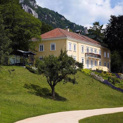 Family & Friends VILLA - Hohe Wand