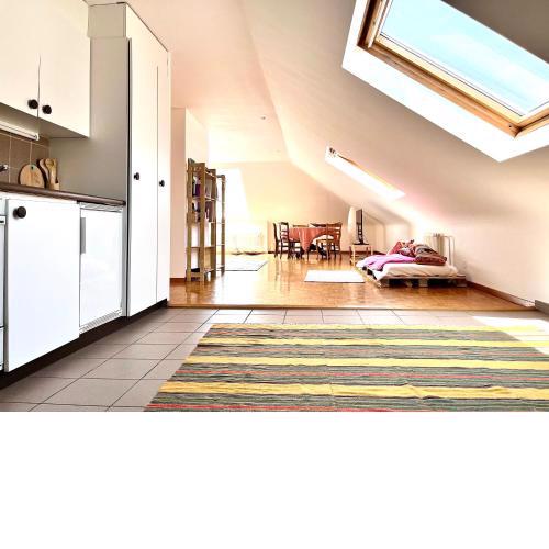 Family Loft in Central Geneva, 5min from Lake