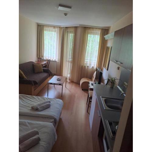Family Studio, Villa park