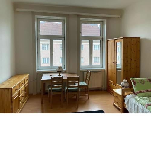 Fancy vintage studio apartment