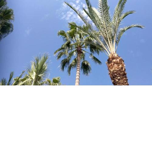 FANTASTIC 1 BED APARTMENT OPPOSITE 4 SEASONS LIMASSOL