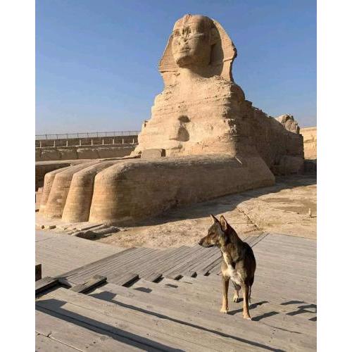 Fares pyramids Hostel