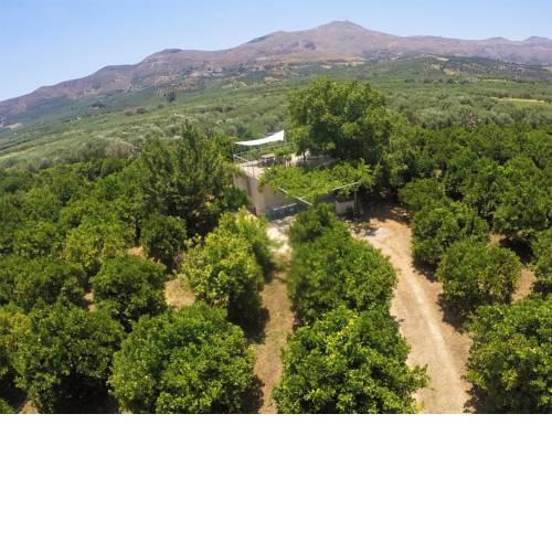 Farm House in Bio Οrange Plantation