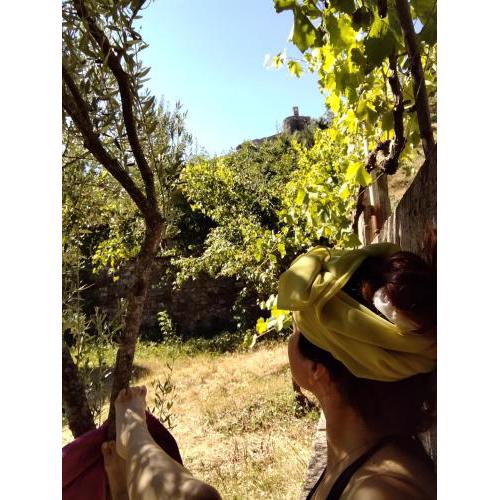 Feel the Nature