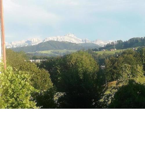 Ferien auf dem Billenberghof
