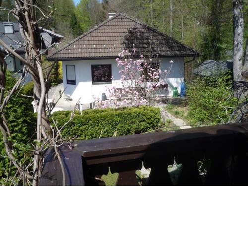 Ferien Bungalow - GRÜNE AU