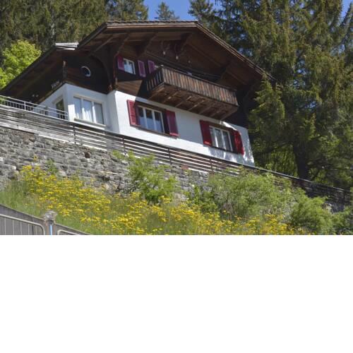 Ferienchalet Tächi