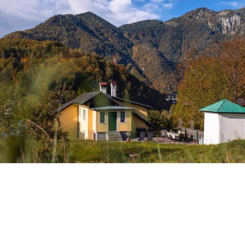 Ferienhaus Alexandra in Ebensee